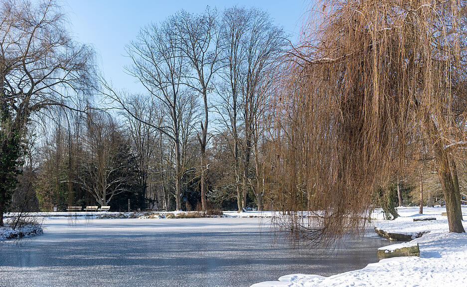 Winter in der Region