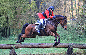 Kurt Weippert bei der Hubertusjagd im Salltal, auf Kestrel. Kurt Weippert bei der Hubertusjagd im Salltal, auf Kestrel.