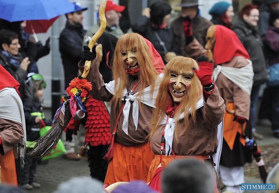 Fasnetumzug Brackenheim | 11.01.