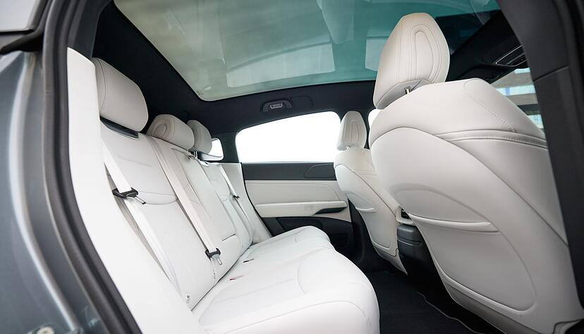 Welchen Sitzplatz h&auml;tten'S denn gern? Eigentlich egal, der Autor lobte M&ouml;blierung und die Materialauswahl des gesamten Innenraums.