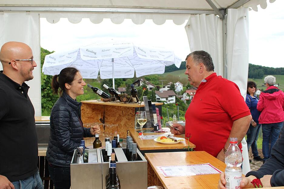 Wein über Berg und Tal in Löwenstein