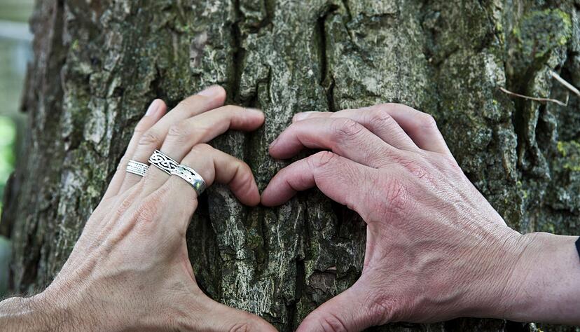 Hilfreich in einer Partnerschaft allgemein - und natürlich auch bei Fernbeziehungen: sich über Bedürfnisse und Gefühle austauschen. Hilfreich in einer Partnerschaft allgemein - und natürlich auch bei Fernbeziehungen: sich über Bedürfnisse und Gefühle austauschen.