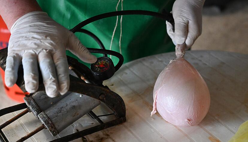 Glitschige Schweinsblasen sind fester Bestandteil der Schw&auml;bisch-Alemannischen Fasnet.