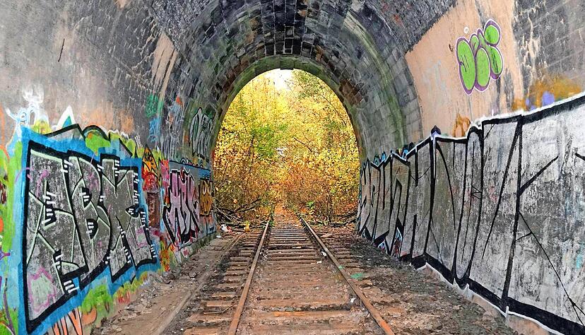 Der Lerchenbergtunnel gehört der Bahn. Er wurde vor 120 Jahren gebaut und ist längst stillgelegt. Unterhalb des Hauptfriedhofs ist der Tunneleingang zugänglich. Auf der anderen Seite im Gemmingstal ist die Eisenbahntrasse verwachsen.
Foto: Archiv/Nupnau