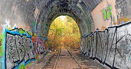 Der Lerchenbergtunnel gehört der Bahn. Er wurde vor 120 Jahren gebaut und ist längst stillgelegt. Unterhalb des Hauptfriedhofs ist der Tunneleingang zugänglich. Auf der anderen Seite im Gemmingstal ist die Eisenbahntrasse verwachsen.
Foto: Archiv/Nupnau