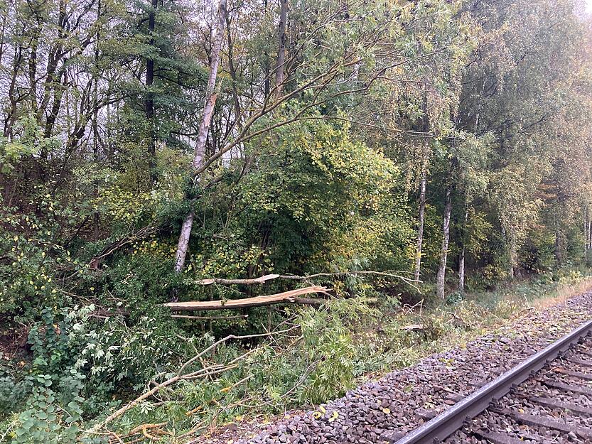 Zwei Bäume ragten offenbar in die Strecke hinein. Deshalb war es zu dem Unfall gekommen.