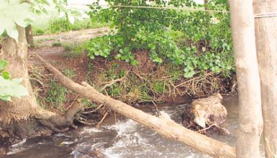 Hier wurden Steine aufgefüllt: Barrieren im Wasser mögen die Angler aber nicht. Hier wurden Steine aufgefüllt: Barrieren im Wasser mögen die Angler aber nicht.