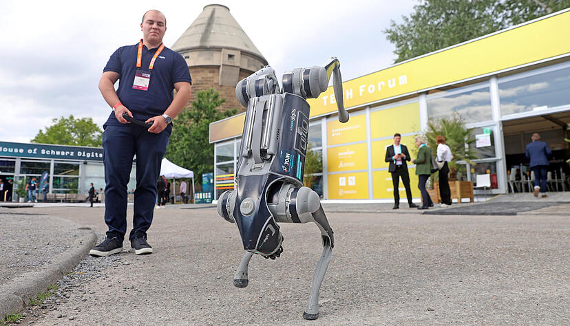 Die Tech findet auf der Theresienwiese in Heilbronn statt.