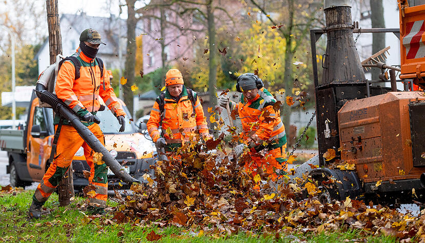 Das Betriebsamt Heilbronn mit einem seiner Reinigungsteams in Aktion. Mit dabei: Der umstrittene Laubbl&auml;ser.