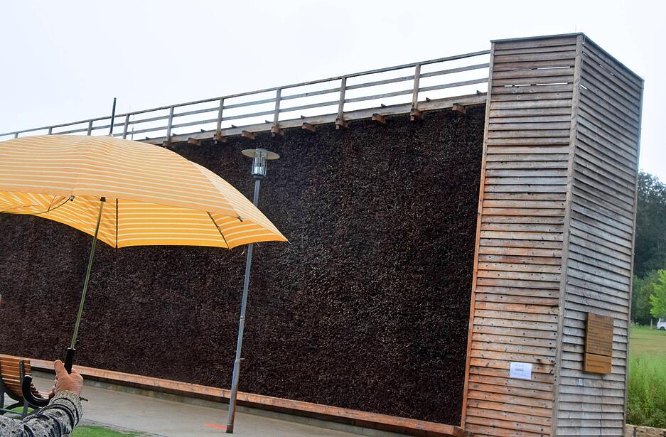 Salzige Meeresluft einatmen: das ist am Gradierwerk in Bad Rappenau möglich. Das macht man aber besser, wenn die Sonneneinstrahlung nicht mehr so stark ist, denn die acht Meter hohe Reisigwand bietet kaum Schattenplätze. 