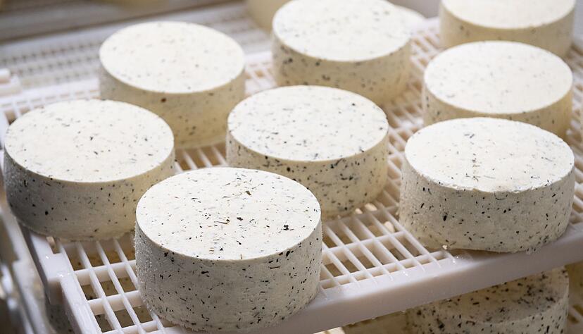 Wer sich in Quark und Frischkäse geübt hat, kann später auch zur Herstellung von Weichkäse übergehen. Wer sich in Quark und Frischkäse geübt hat, kann später auch zur Herstellung von Weichkäse übergehen.