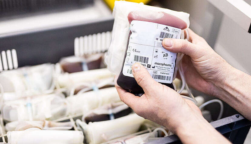 Die Kliniken, die das DRK in Baden-W&uuml;rttemberg versorgt, brauchen t&auml;glich 2000 Blutkonserven.