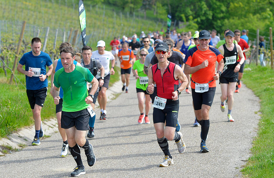 20. Trollinger Marathon - ab durch die Weinberge