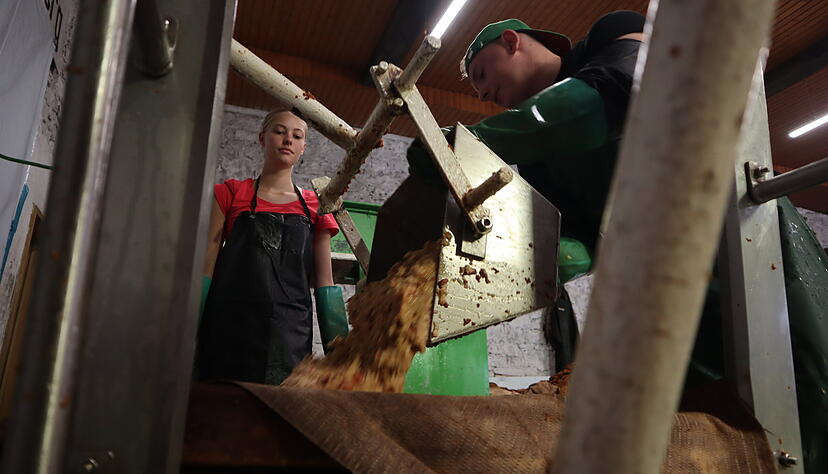 In der Nagelsberger Kelter werden die Äpfel gemahlen und gepresst. Die Mitglieder des Mostvereins haben 20 Säcke an zwei Bäumen gesammelt.
Fotos: Götz Greiner In der Nagelsberger Kelter werden die Äpfel gemahlen und gepresst. Die Mitglieder des Mostvereins haben 20 Säcke an zwei Bäumen gesammelt.
Fotos: Götz Greiner