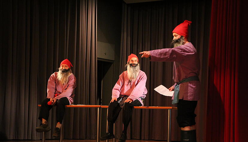 Diese Zwerge sind sowas wie die schulischen Heinzelmännchen, die im Geheimen bei den täglichen Aufgaben helfen und sich nur ausnahmsweise zu Erkennen geben.