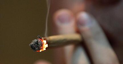 Die Debatte über eine Legalisierung von Cannabis in Deutschland nimmt Fahrt auf.