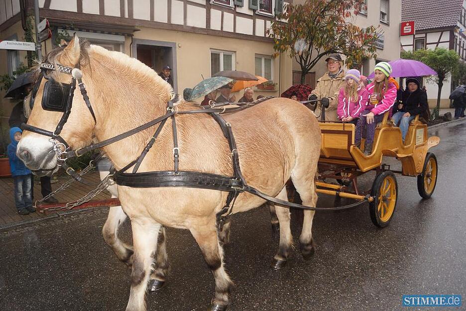 Herbstpferdemarkt Dörzbach | 02.11.