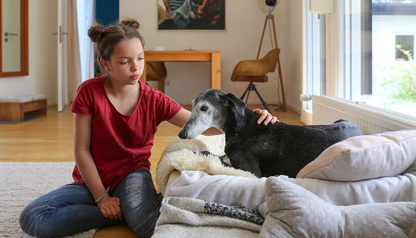 F&uuml;r Kinder kann der Wunsch nach einem Haustier gro&szlig; sein, doch die Verantwortung liegt bei den Eltern.