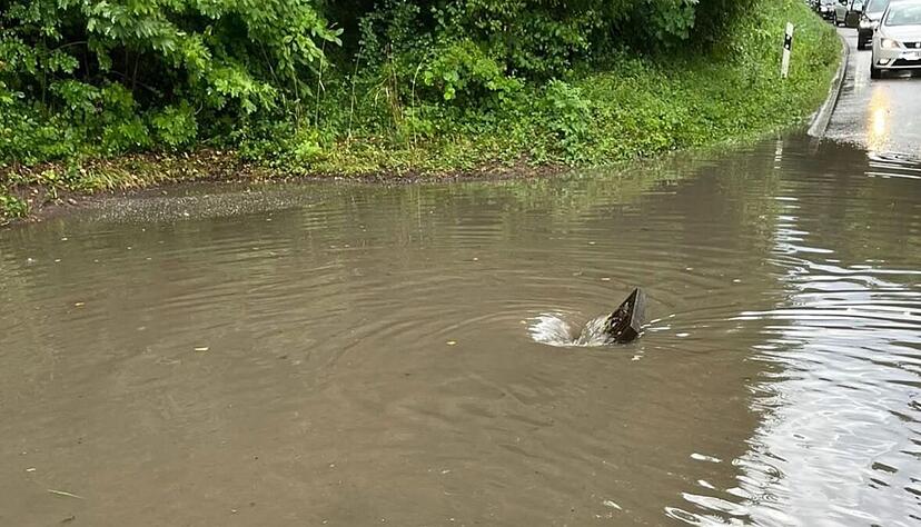 Eine Unwetterfront rollte über den Raum Heilbronn und den Hohenlohekreis. Es kam wegen des Starkregens zu zahlreichen Einsätzen der Feuerwehr, etwa auch in Talheim.