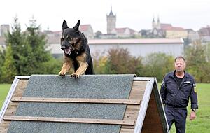 Polizeihundstaffel Offenau