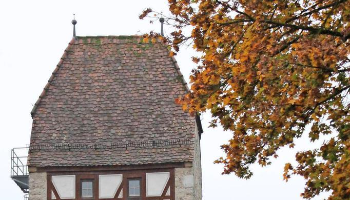 Der Säuturm an der Stadtmauer bleibt vorerst leer.Foto: Archiv/Doll Der Säuturm an der Stadtmauer bleibt vorerst leer.Foto: Archiv/Doll