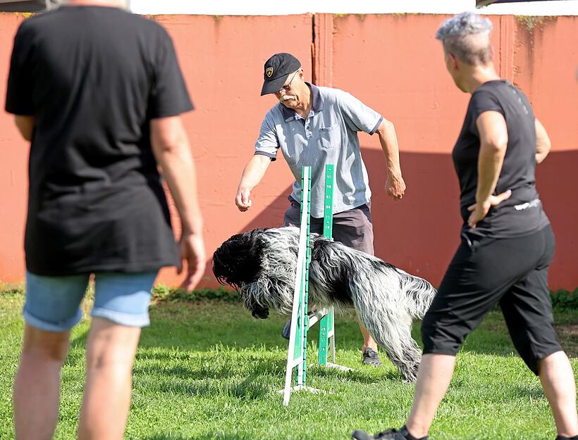 Agility Hunde-Training Lesersommer Agility Hunde-Training Lesersommer