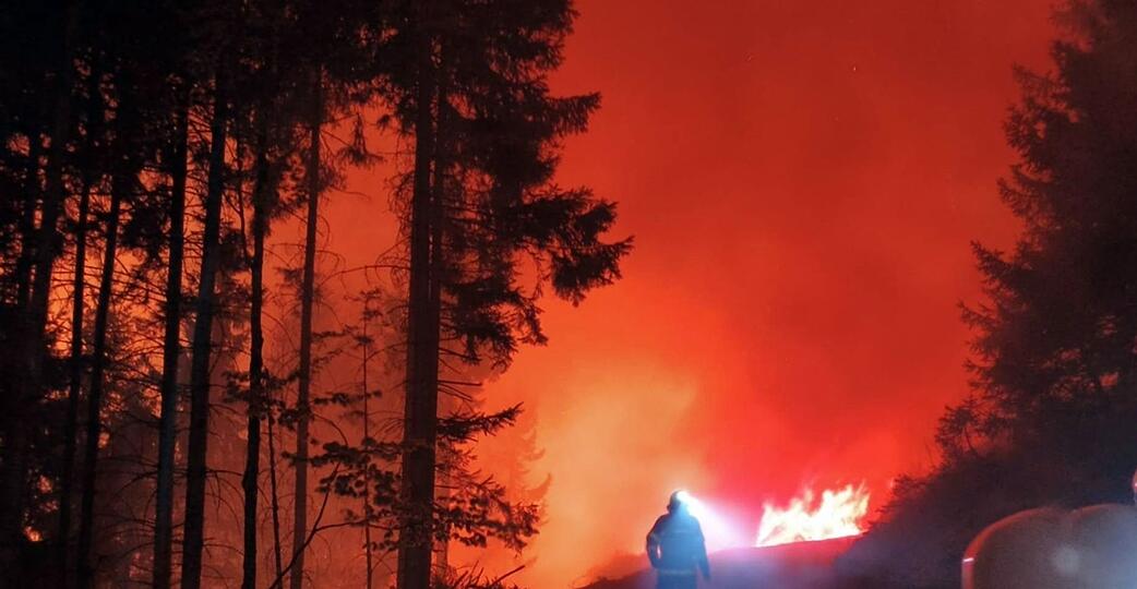 In &Ouml;sterreich steht eine Fl&auml;che von 110 Hektar in Flammen.