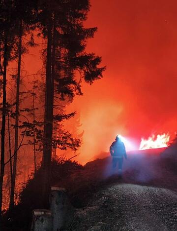 In &Ouml;sterreich steht eine Fl&auml;che von 110 Hektar in Flammen.