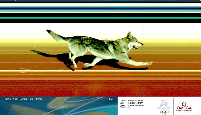 Olympischer Moment: Beim Teamsprint der Langl&auml;uferinnen lief ein Hund &uuml;ber die Strecke und durchs Ziel &ndash; erfasst von der Fotofinish-Kamera.