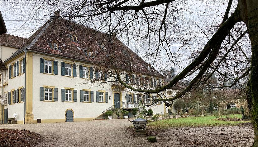 Das Schloss Heinsheim wurde viele Jahre für Hochzeitsfeiern und Tagungen genutzt. Nun sollen Hotelzimmer zu Wohnungen umgestaltet werden.
Fotos: Adrian Hoffmann