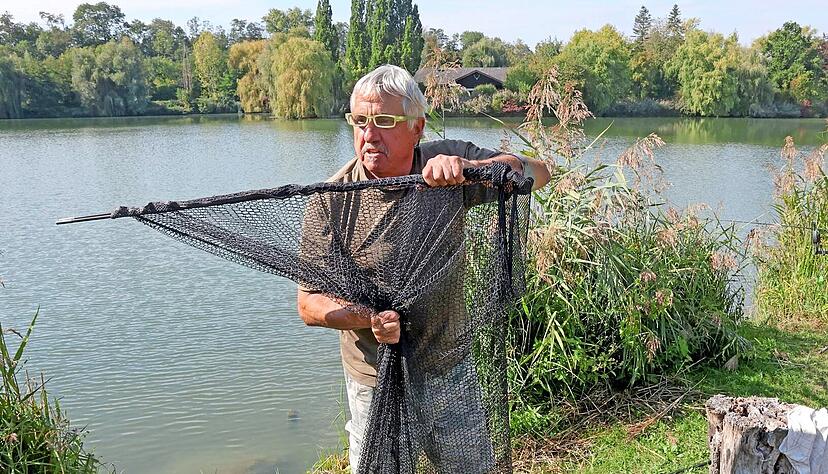 Mehr als drei Stunden hat Gert Mayer am See gesessen, bis der Spiegelkarpfen angebissen hat. Nach dem Foto und dem "Verarzten" der Wunde, die durch den Haken entstanden ist, darf der Laichfisch wieder zurück ins Wasser. Mehr als drei Stunden hat Gert Mayer am See gesessen, bis der Spiegelkarpfen angebissen hat. Nach dem Foto und dem "Verarzten" der Wunde, die durch den Haken entstanden ist, darf der Laichfisch wieder zurück ins Wasser.