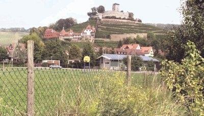 Auf diesem Grundst&uuml;ck in den Br&uuml;hlwiesen hat die Stadt Beilstein ein Sondergebiet f&uuml;r einen Lebensmittelmarkt ausgewiesen. Die Einwohner entscheiden am 27. September, an wen das Areal verkauft werden soll: Edeka oder Aldi.Fotos: Joachim Kinzinger