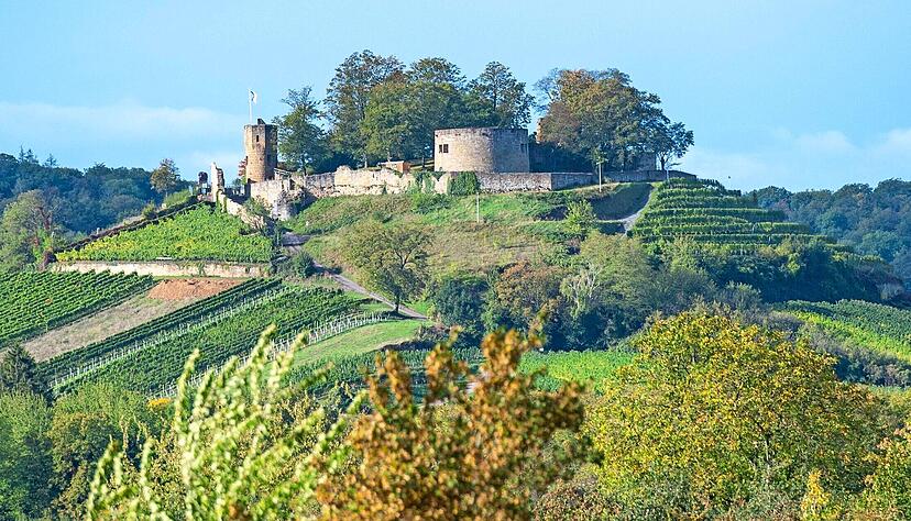 Die Burgruine Weibertreu in Weinsberg ist ein beliebtes Ausflugsziel im Raum Heilbronn.