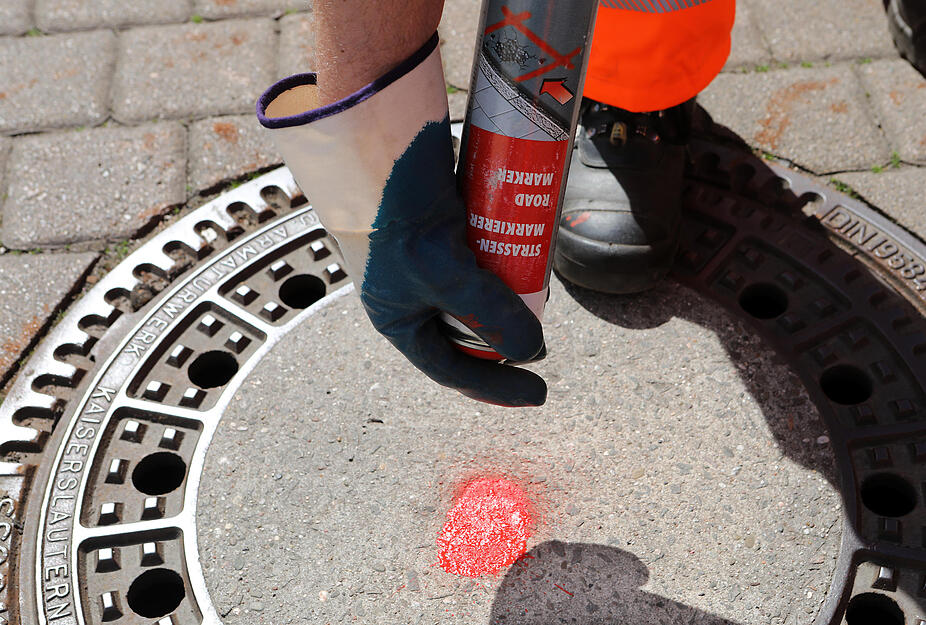 Heilbronn bekämpft Ratten Heilbronn bekämpft Ratten