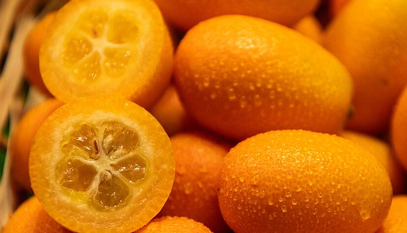 Kleine Frucht, großer Geschmack: Kumquats sind nur pflaumengroß, vereinen in sich aber süße und saure Aromen. Kleine Frucht, großer Geschmack: Kumquats sind nur pflaumengroß, vereinen in sich aber süße und saure Aromen.