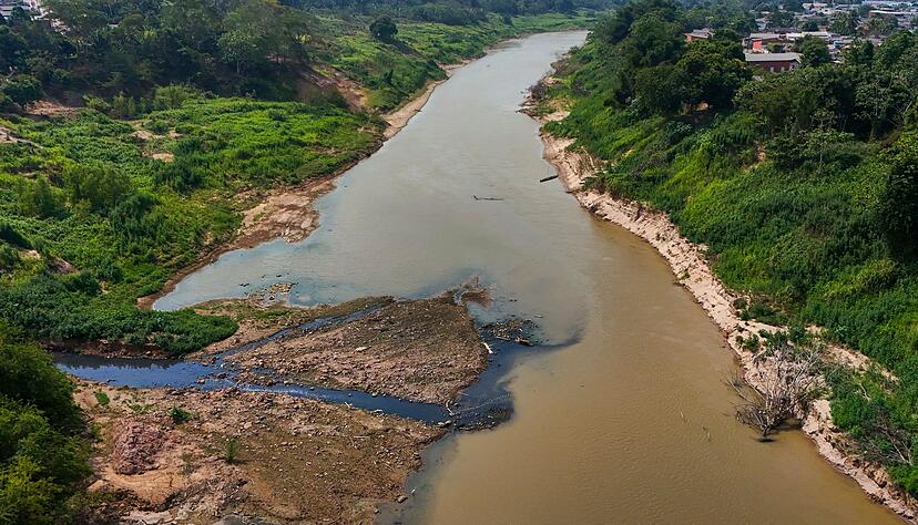 Der Amazonas gehört zu den gefährdeten Systemen.