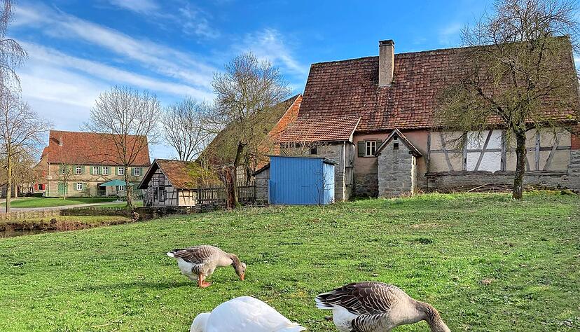 Die Winterruhe im Freilandmuseum ist vorbei. Die Winterruhe im Freilandmuseum ist vorbei.