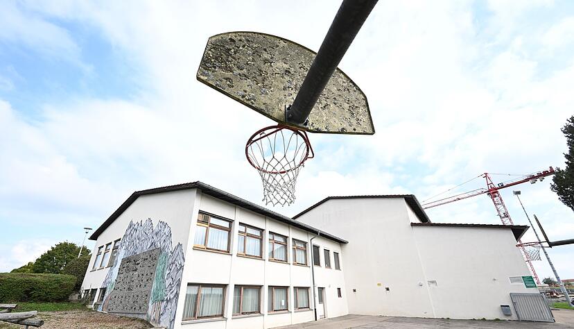 Um die Gemeindehalle in Kirchberg an der Murr abreißen zu dürfen, musste sich die Gemeinde erst um vier Fledermäuse kümmern.