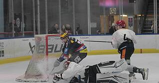 Die Eisb&auml;ren Heilbronn wollen Falken-Fans zu ihren Spielen locken.