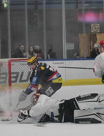 Die Eisb&auml;ren Heilbronn wollen Falken-Fans zu ihren Spielen locken.