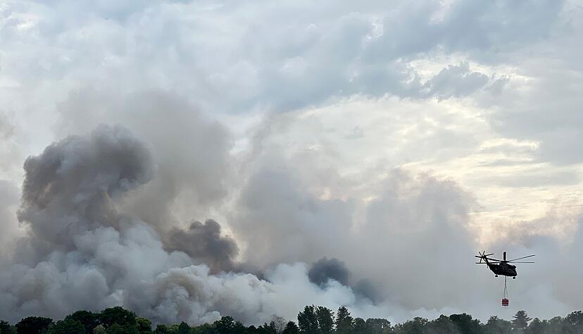 Der Wald steht in Flammen. Oft ist Fahrlässigkeit der Auslöser. Eine weggeworfene Zigarettenkippe reicht schon aus. Der Wald steht in Flammen. Oft ist Fahrlässigkeit der Auslöser. Eine weggeworfene Zigarettenkippe reicht schon aus.