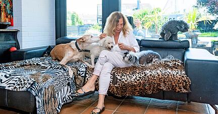 Bis ein neues Frauchen oder Herrchen gefunden ist, leben die Hunde aus dem europäischen Ausland bei Helga Degenhard in ihrem Haus in Gundelsheim. 
Fotos: Mario Berger