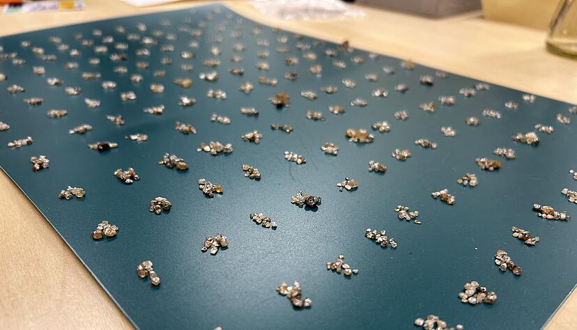 Die Rohdiamanten wurden bei der Einreise entdeckt. (Handout)