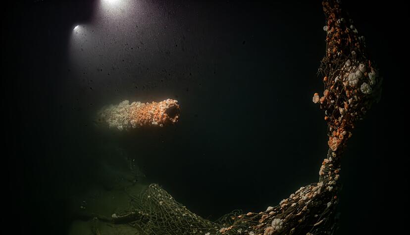 Die Tauchgänge fanden nach Angaben des Teams in großer Tiefe und unter herausfordernden Bedingungen statt. Die Tauchgänge fanden nach Angaben des Teams in großer Tiefe und unter herausfordernden Bedingungen statt.
