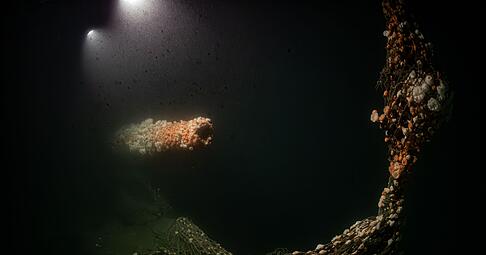 Die Tauchgänge fanden nach Angaben des Teams in großer Tiefe und unter herausfordernden Bedingungen statt. Die Tauchgänge fanden nach Angaben des Teams in großer Tiefe und unter herausfordernden Bedingungen statt.