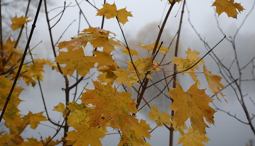 Warm einpacken m&uuml;ssen sich Menschen in Baden-W&uuml;rttemberg ab Montag. Die Temperaturen sinken deutlich. (Archiv)
