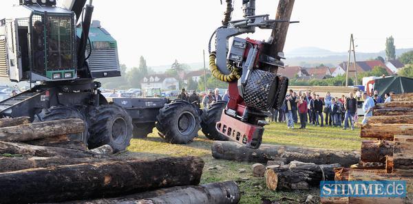 Holzmarkt in Ilsfeld | 25.08.