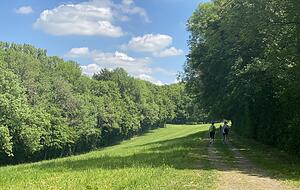 Staudamm bauen und abkühlen: Wo der Mühlbach mitten im Wald sein breitestes Flussbett erreicht, ist der beste Outdoor-Spielplatz.