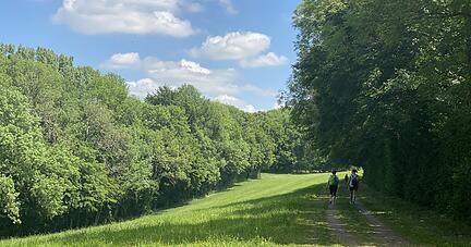 Staudamm bauen und abkühlen: Wo der Mühlbach mitten im Wald sein breitestes Flussbett erreicht, ist der beste Outdoor-Spielplatz.