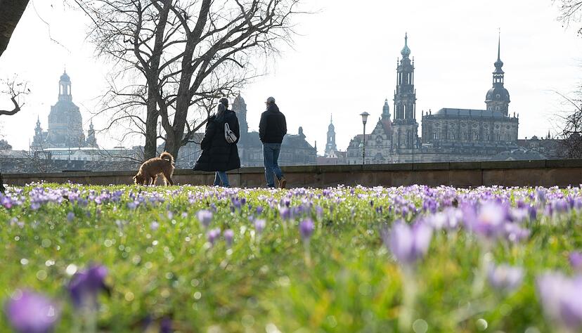 Fr&uuml;hlingshaftes Wetter k&uuml;ndigt sich schon vor dem meteorologischen Fr&uuml;hlingsbeginn am 1. M&auml;rz an.